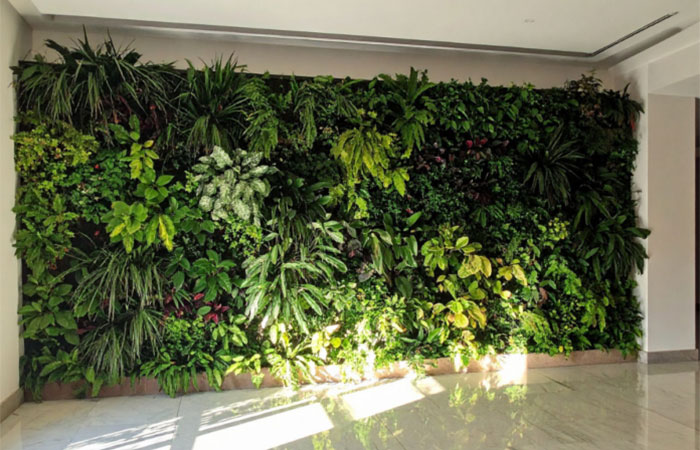 Sustentabilidade inteligente: dicas práticas que realmente fazem a diferença no seu dia a dia