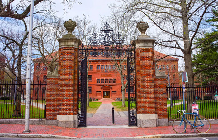 Suzano investe em educação para impulsionar a sustentabilidade