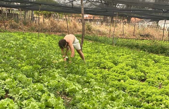 Eixo sustentabilidade entra no manifesto do Pacto Novo Cariri