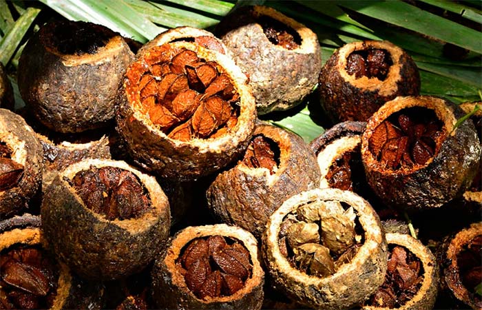 Médicas listam 12 nutrientes para proteger a pele do sol