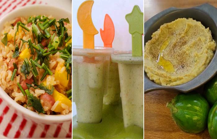 Receitas sustentáveis para o verão: livros foram desenvolvidos por pesquisadores da USP