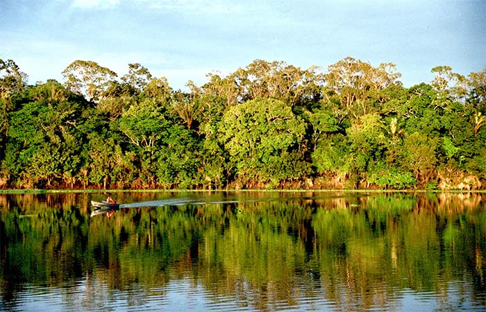 Exploração de petróleo na Amazônia: o que está em jogo