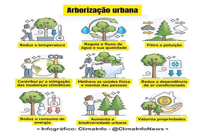 Ampliar a arborização urbana pode salvar milhões de vidas