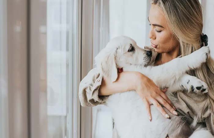 Carinho e banhos demais, companhia e atividades de menos: o que faz mal e o que faz falta para o bem-estar do seu cão