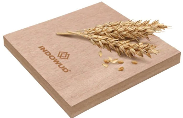 Empresa indiana leva sustentabilidade a outro nível e faz cascas de arroz virar madeira resistente à água, ao fogo, a cupins, sem formaldeído e com alta durabilidade estrutural