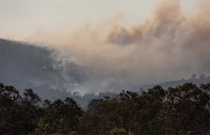 Um alerta de 56 milhões de anos: ‘explosão’ de CO₂ devastou florestas e agravou o aquecimento global