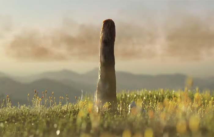 Cientistas podem ter encontrado forma extinta de vida que existiu há 400 milhões de anos