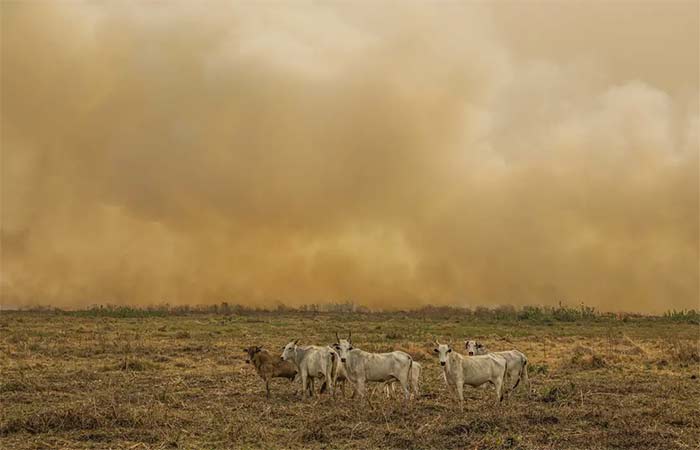Janeiro tem número de focos de calor duas vezes maior que a média