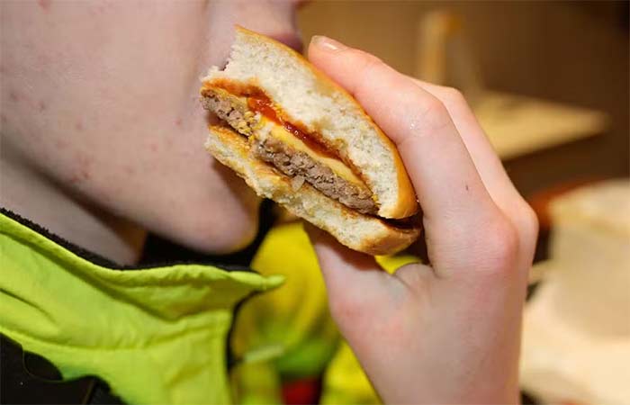 Químicos comuns estão afetando bactérias benéficas do intestino, alerta estudo