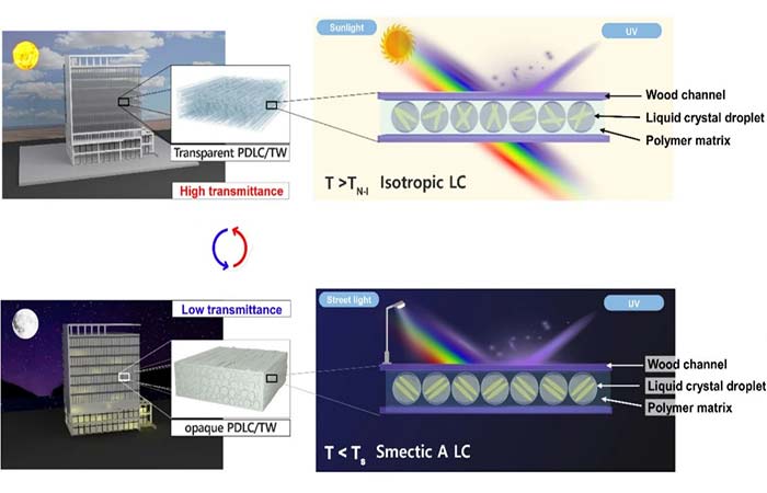 Madeira transparente regula temperatura e raios UV sem gastar energia