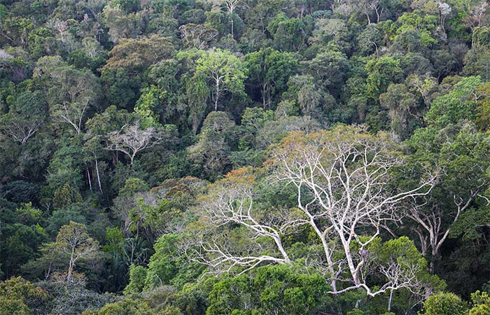 Chamada de Clima do BNDES seleciona fundos que vão alavancar R$ 16,2 bi no mercado