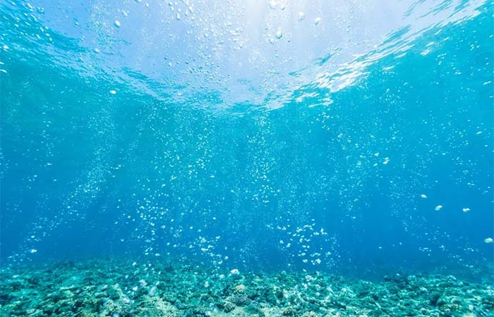 Tratado Global dos Oceanos entra em vigor