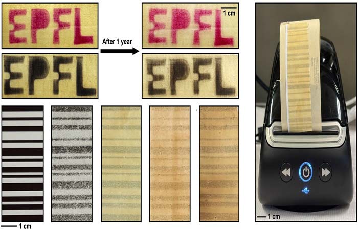 Papel de nota fiscal feito de madeira elimina contaminantes perigosos