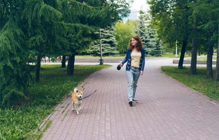 O ano acabou, mas pensar na sustentabilidade não: resoluções verdes para transformar 2026