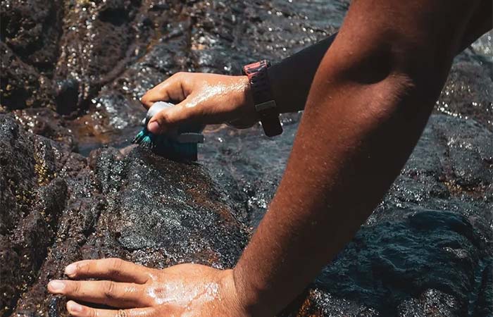 Pescadores de Pernambuco têm exposição dupla e prolongada ao petróleo