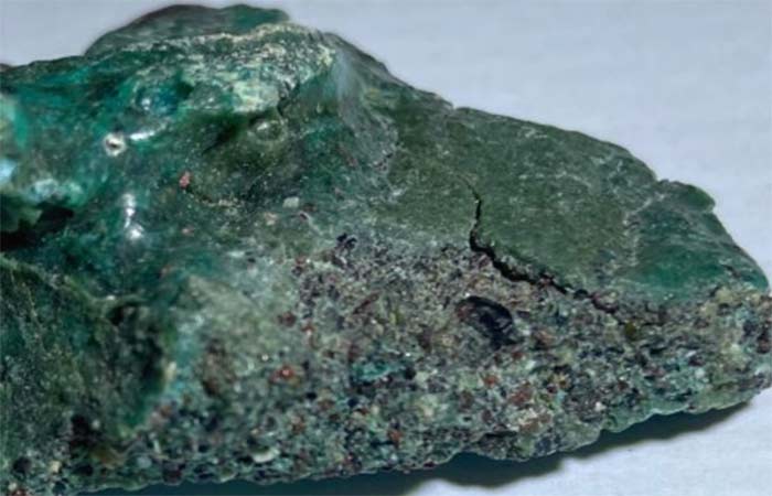 Ninhos de tartaruga-verde podem soterrar ‘rochas de plástico’ e comprometer espécie