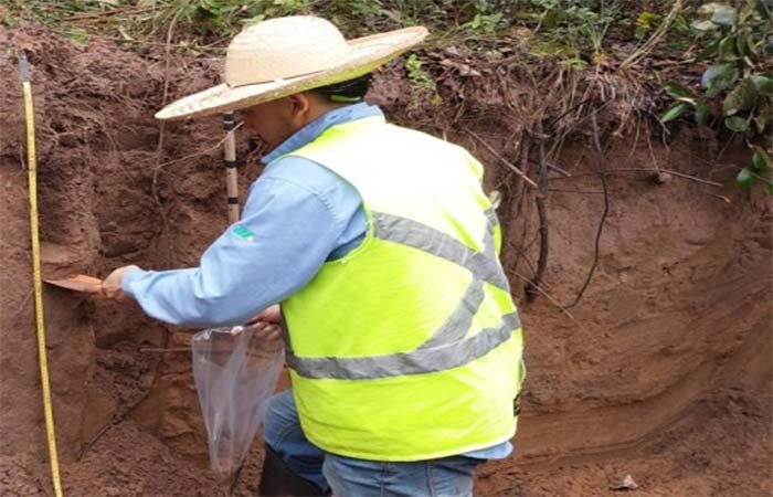 Método simplifica determinação de estoque de carbono no solo com laser e inteligência artificial