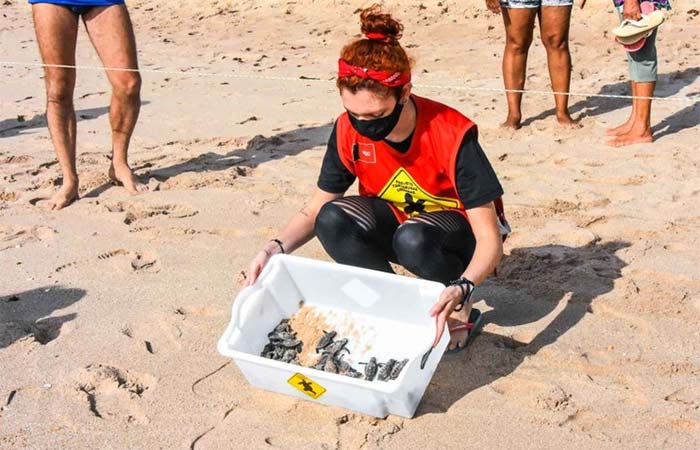 Fauna silvestre enriquece costa paraibana