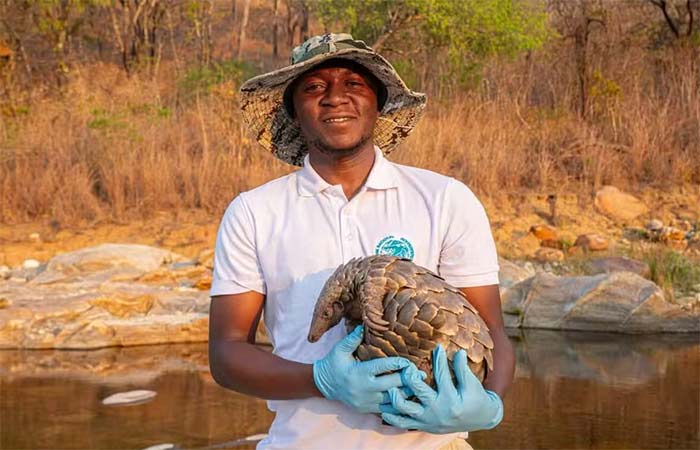 Crise global da biodiversidade: lista revela 10 espécies no limite da sobrevivência para observar em 2026