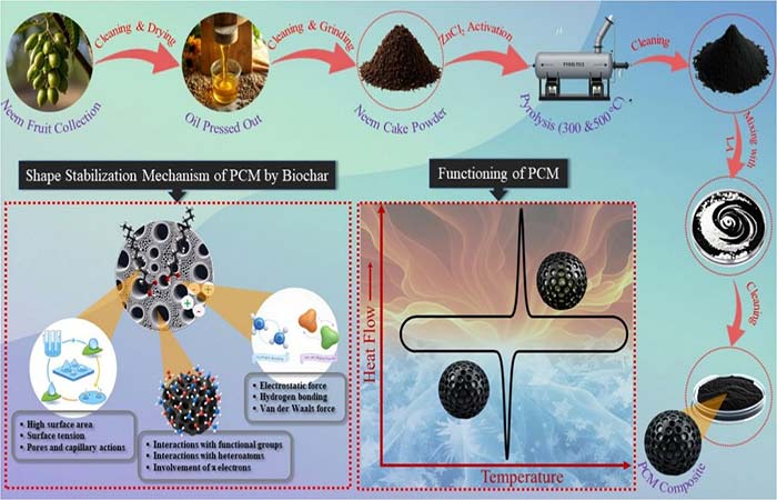 Bateria térmica feita de sementes de nim armazena calor
