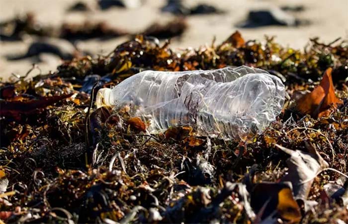 Os impactos ambientais do plástico biodegradável