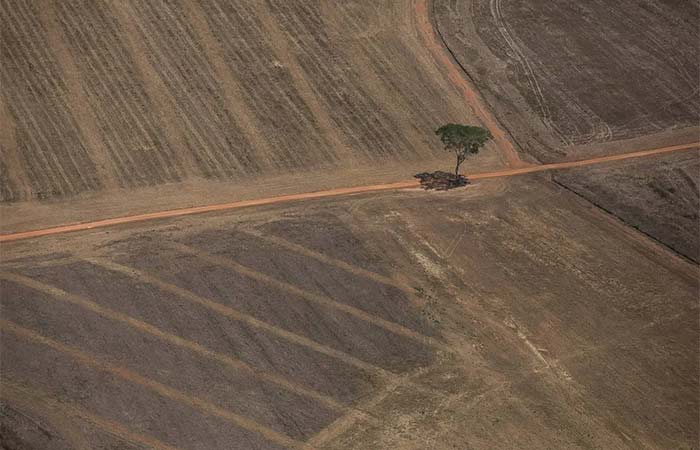 4 milhões de hectares de incerteza: do alerta à fiscalização