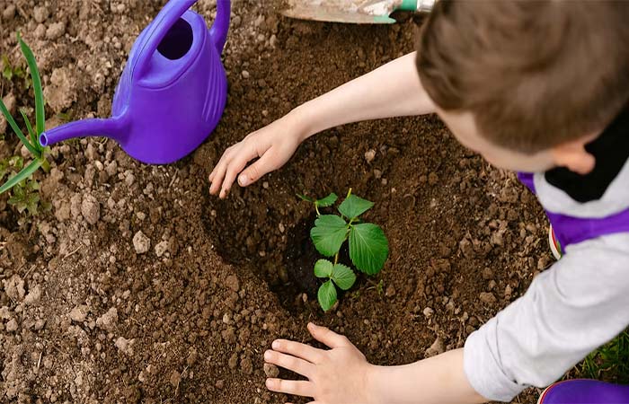 Quase 50% dos países não incluem crise climática nos currículos escolares