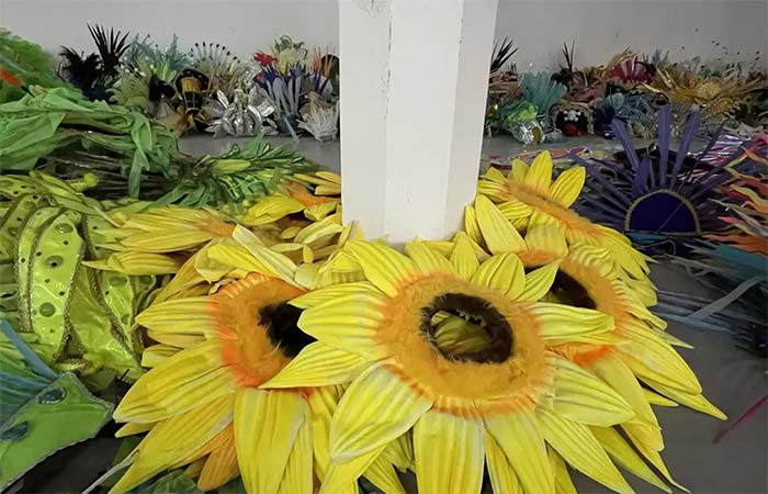 Projeto reaproveita fantasias da Sapucaí para novos foliões