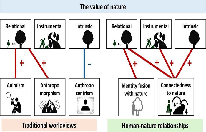 Como sua visão de mundo e seus valores afetam a Terra