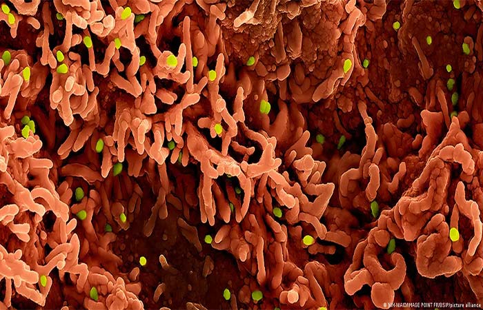 Os três vírus que podem desencadear novas crises em 2026