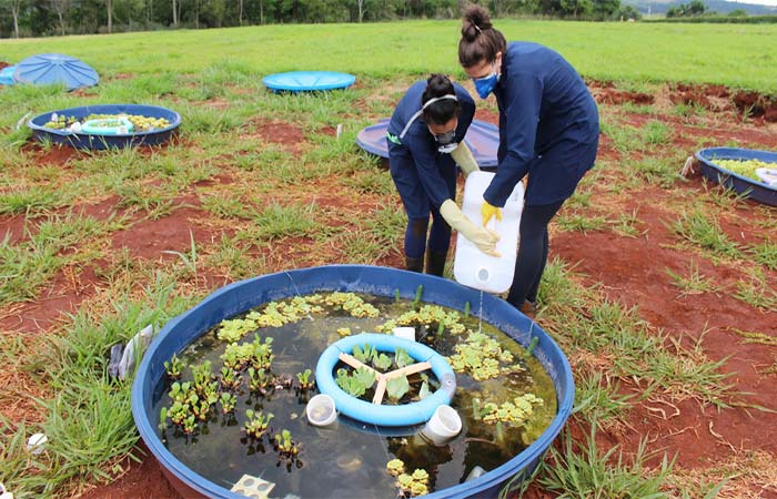 Combinação de agrotóxicos e fertilizantes provoca desequilíbrio ecossistêmico em rios, lagos e lagoas