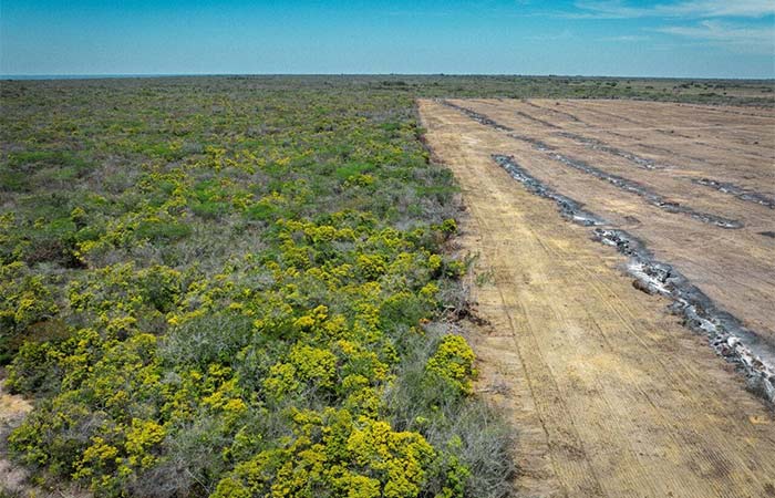 Na Chapada do Araripe, expansão de monoculturas acompanha alta de 2.800% no desmatamento