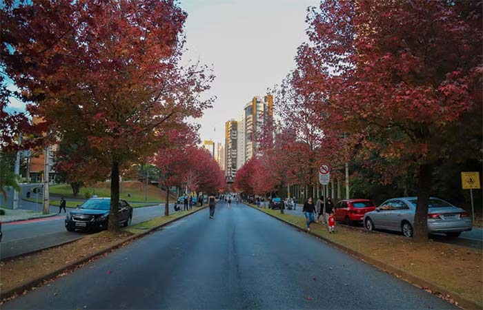 Outono começa amanhã: veja como vai ser a estação em todas as regiões do Brasil