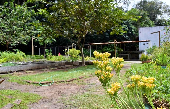 Jardim Botânico sedia programação educativa
