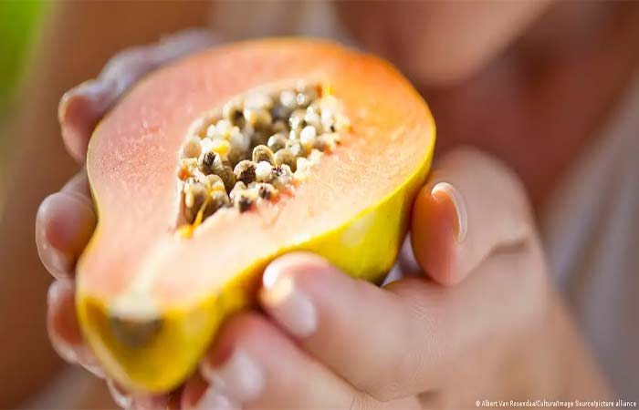 Estudo avalia anticoncepcional masculino feito de mamão