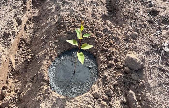 No Dia Mundial da Água, Suz desanotaca iniciativa que reutiliza resíduo industrial para redução no consumo de água no processo de irrigação