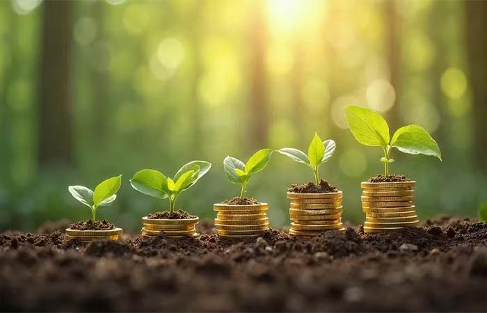 Por que a crise climática muda a lógica da economia e coloca a conservação da biodiversidade no centro