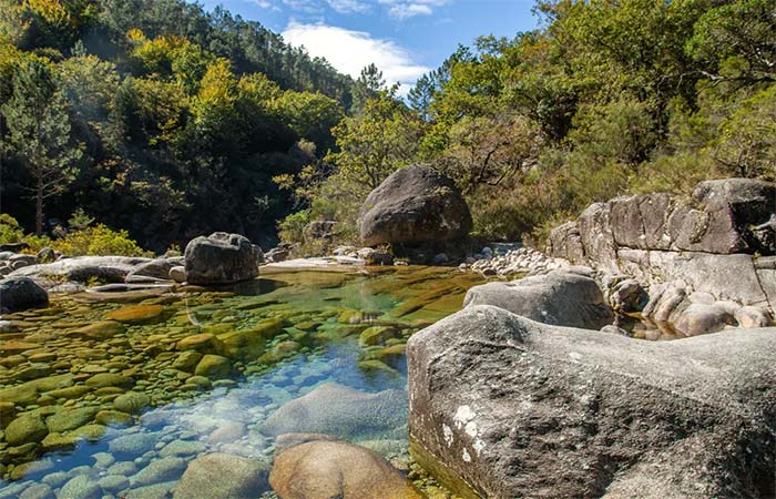 Torneiras secas: A resiliência hídrica depende das florestas
