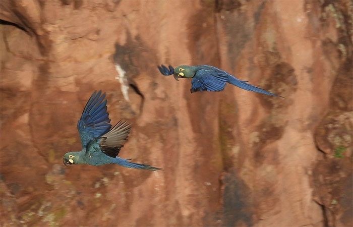 Entre o Raso da Catarina e o tempo que a natureza exige