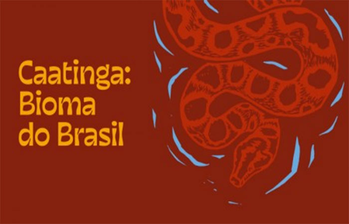 Exposição apresenta a riqueza da biodiversidade e da cultura da Caatinga