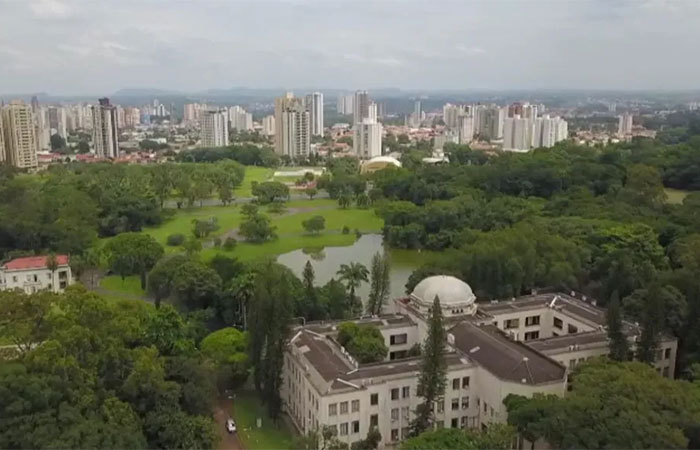 Metade dos brasileiros lava carne antes de cozinhar, aponta USP; entenda por que hábito põe saúde em risco