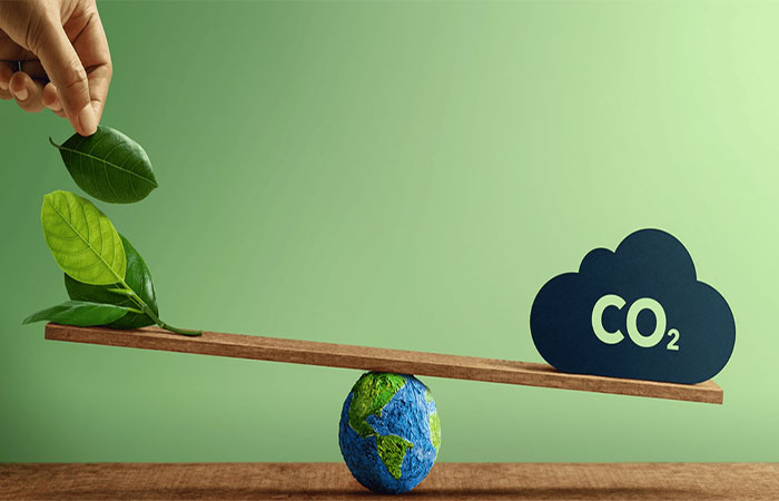 A Corrida pela Descarbonização e a Nova Ordem Econômica