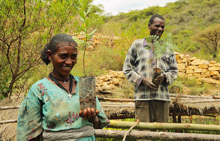 Como manter a esperança mesmo diante do colapso climático