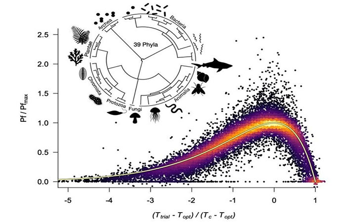 Descoberta uma curva de temperatura universal que rege toda a vida