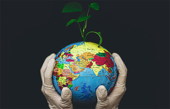 Dia da Terra: porque a data é ainda mais especial em 2026?