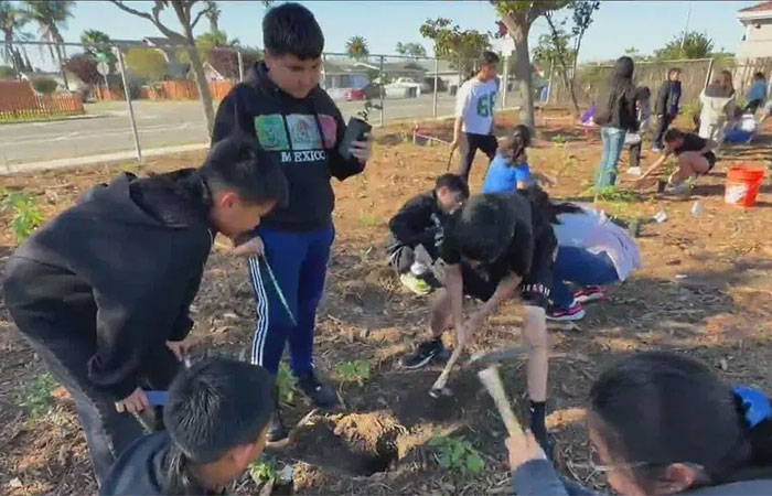 Alunos plantam pequena floresta em escola para ajudar no combate às mudanças climáticas