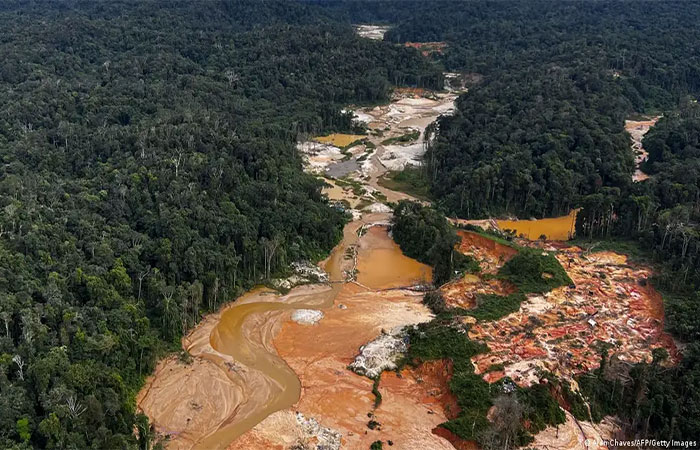 Como acordos de dívida podem financiar a proteção ambiental