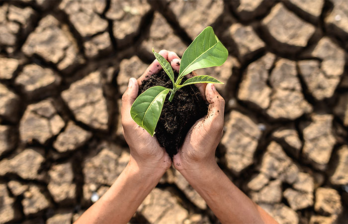Como as mudanças climáticas e as desigualdades sociais estão interligadas
