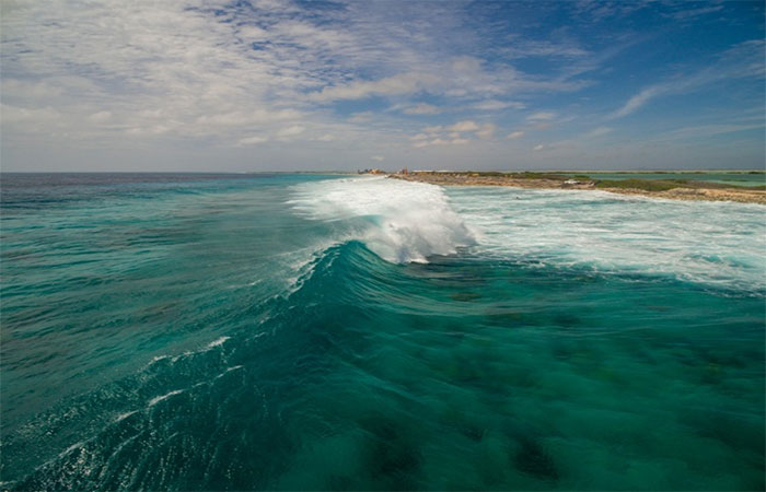 O oceano finalmente tem lei — agora precisa de coragem