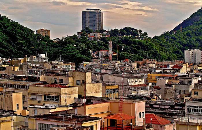 Programa vai financiar plantio de árvores nas cidades